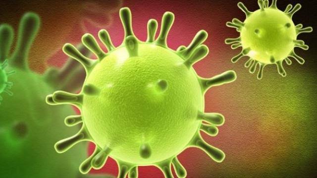 Peneliti: Virus Corona Bisa Bunuh 65 Juta Jiwa dalam 18 Bulan